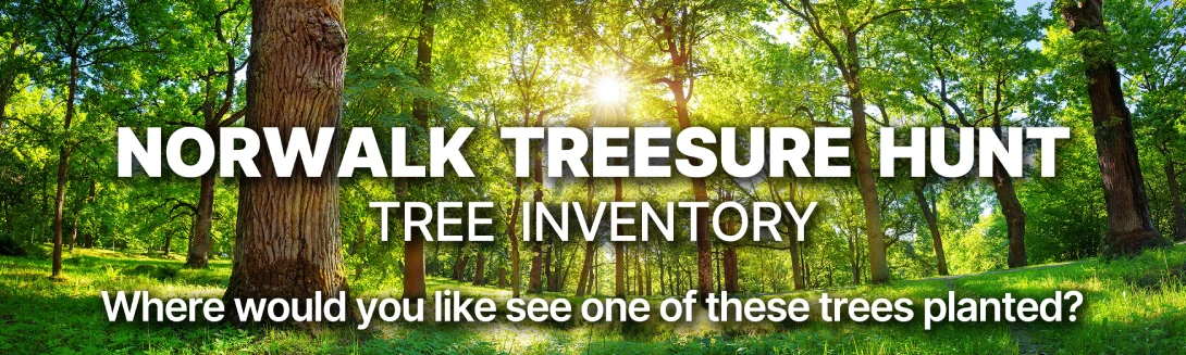 //www.courvillenursery.com/wp-content/uploads/Treesure_Hunt_header.webp