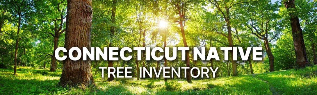 //www.courvillenursery.com/wp-content/uploads/connecticut-native-tree-inventory-image.webp